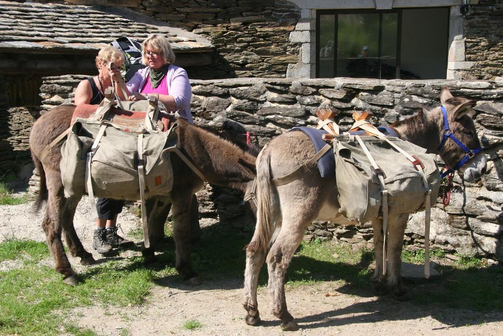 Chambres D'Hotes Lou-Rey Le Collet-de-Dèze Esterno foto